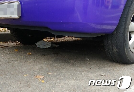 차량 밑에 고양이가 사료를 먹고 난 뒤 통이 그대로 놓여져 있다. 사진 독자 제공 © 뉴스1