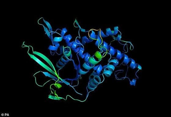 단백질 구조를 3D 디지털로 구현한 모습 - 데일리메일 갈무리