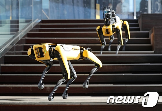 현대자동차그룹이 ‘로봇개’로 유명한 미국의 세계적인 로봇 제조 기업 ‘보스턴 다이내믹스’ 인수를 결정했다. 지난 16일 서울 현대모터스튜디오 고양에서 관계자들이 4족 보행 로봇 개 '스폿(spot)'의 시연을 하고 있다. 2020.12.18/뉴스1 © News1 이성철 기자
