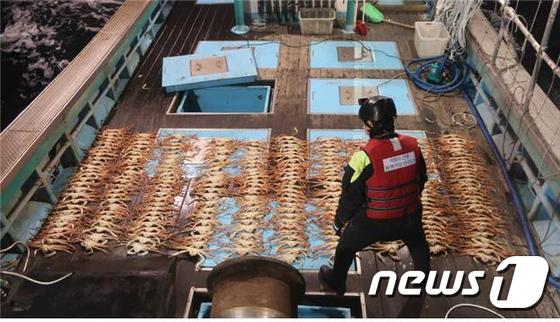 대게 불법포획 단속(해양수산부 제공)© 뉴스1