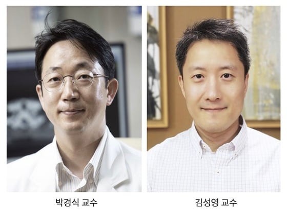 (왼쪽부터)박경식,김성영 교수(사진제공:건국대 의학대학 의학전문대학원)© 뉴스1