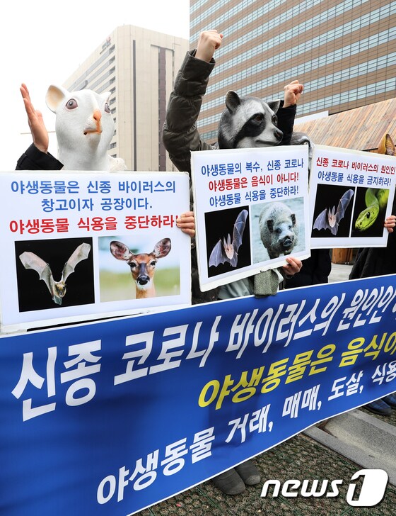 한국동물보호연합 '야생동물 보호하라'