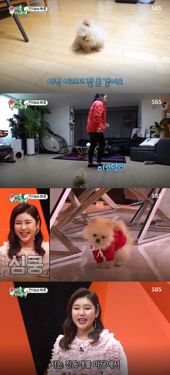 16일 방송된 SBS '미운우리새끼'에서는 홍진영의 강아지가 공개됐다. © 뉴스1