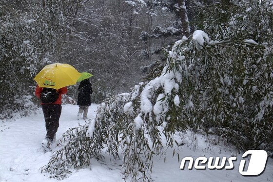 광주와 전남 대부분 지역에 눈이 내린 17일 오후 전남 담양군 월산면 용구산에서 시민들이 겨울정취를 만끽하고 있다.  2020.2.17 /뉴스1 © News1 한산 기자