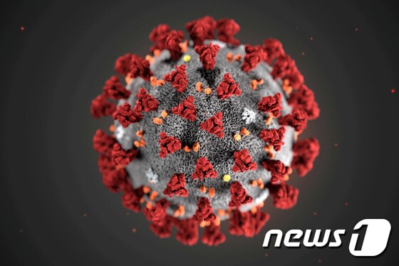 미국 질병통제예방센터(CDC)가 올 1월 공개한 신종 코로나바이러스 이미지. © 로이터=뉴스1