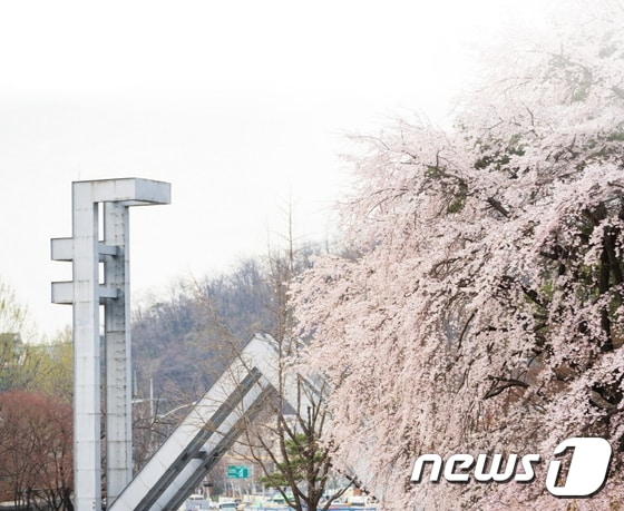 서울대학교 정문 © 뉴스1 (서울대학교 제공)