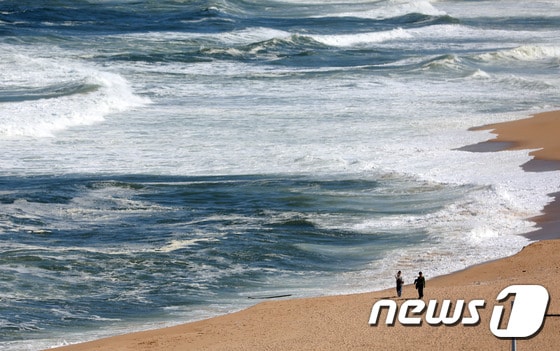 동해 바다 풍경.(사진은 기사 내용과 무관함) / 뉴스1 © News1