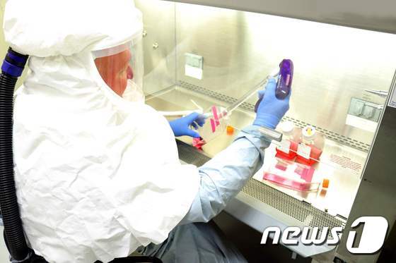 미국 바이오기업 모더나 테라퓨틱스가 개발중인 코로나19 백신 후보물질 mRNA-1273이 처음으로 사람을 대상으로 임상시험에 들어갔다. 사진은 코로나19 관련 실험중인 연구원 © AFP=뉴스1