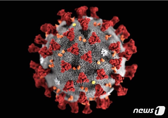 신종 코로나바이러스 모형도. © 로이터=뉴스1