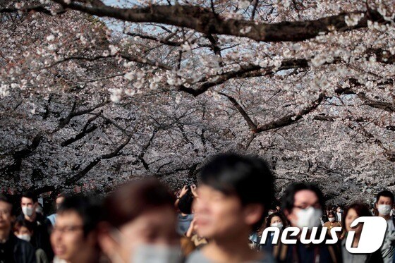 22일 일본 도쿄 우에노 공원에 주말을 맞아 벚꽃놀이객이 몰려 인산인해를 이뤘다. © AFP=뉴스1