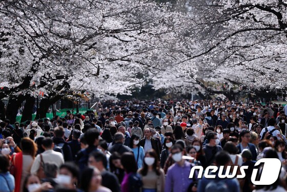 22일 (현지시간) 코로나19 확산에도 불구하고 도쿄 우에노 공원에 만개한 벚꽃을 구경하기 위해 행락객들이 북적이고있다. © 로이터=뉴스1 © News1 우동명 기자