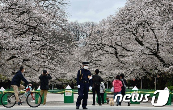코로나19 확산을 우려해 벚꽃 구경 장소로 유명한 도쿄 우에노 공원에 28일 출입금지 선이 설치돼 있다. © AFP=뉴스1