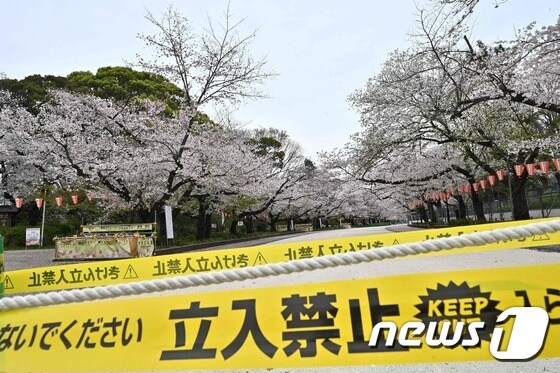 코로나19 사태로 출입이 금지된 도쿄도 우에노 공원. © AFP=뉴스1