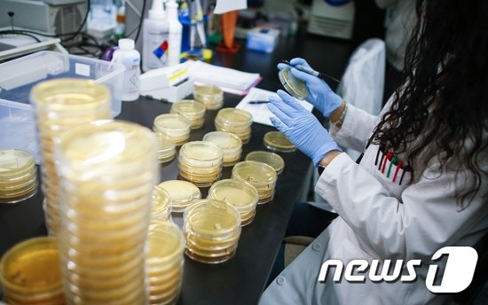 미국 연구소에서 한 연구원이 코로나19 검진 키르를 개발하고 있다. © AFP=뉴스1