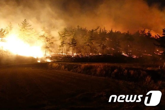지난 12일 오후 7시 23분께 대산읍 화곡리 야산에서 산불이 발생했다 © 뉴스1