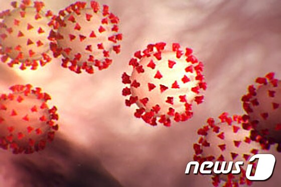 미국 질병통제예방센터(CDC)가 만든 신종 코로나바이러스 이미지 © AFP=뉴스1