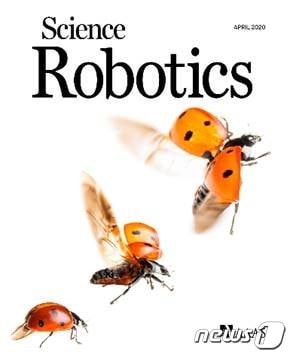 16일 서울대 공대는 국방생체모방 자율로봇 특화센터 조규진(기계공학부) 교수팀이 무당벌레를 모사한 종이접기 기반 구조와 이를 활용한 로봇을 개발했다고 밝혔다. 이번 연구는 사이언스 로보틱스 표지 논문(4월15일자)에 게재됐다. (서울대 공대 제공) 2020.04.16/뉴스1