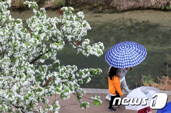 지난달 19일 오후 서울 청계천 영도교~황학교 구간에서 우산을 쓴 채 발걸음을 재촉하는 시민들 모습. /뉴스1DB © News1 황기선 기자