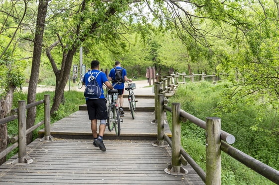 샛강생태공원 산책로에서는 자전거를 탈 수 없고, 공원 옆 자전거길을 이용하면 된다.