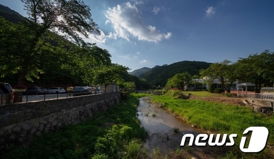 양주 석현천 계곡(경기관광공사 제공)/© 뉴스1