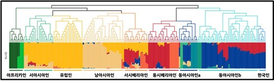현대 한국인의 게놈 혼합(ADMIXTURE) 분석 결과. 맨 오른쪽의 한국인들은 일본과 중국인과 같은 그룹으로 묶인다. 전 인류를 총 10개의 그룹으로 나눴을 때, 한국은 짙은 푸른색으로 대표되는 남중국계와 짙은 붉은 색으로 표현되는, 북아시아계가 7:3 정도로 최근에 혼합된 것으로 나타난다 (클리노믹스 제공) 2020.06.04 / 뉴스1
