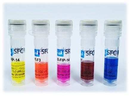 에스에프씨가 개발한 PCR용 핵심소재 제품 사진. (KEIT 제공) © 뉴스1