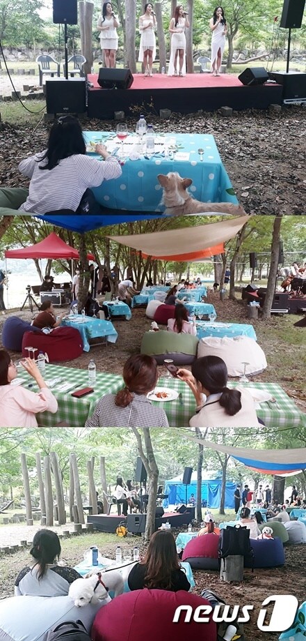 6월26일 강원 평창군 바위공원에서는 '반려견과 함께 하는 HAPPY 700 다이닝' 행사가 열렸다. © 뉴스1 최서윤 기자