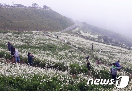 평창 육백마지기에서 사람들이 산책을 하고 있다. © 뉴스1 최서윤 기자