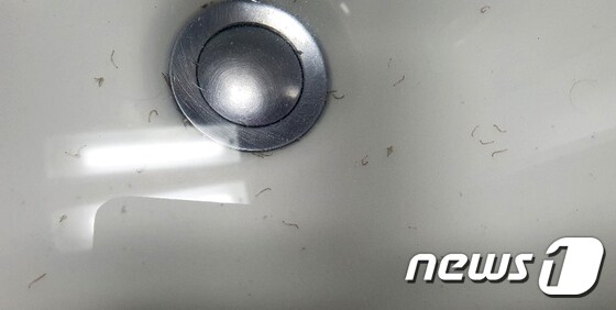 15일 오전 4시쯤 인천시 부평구 갈산동의 한 아파트 수돗물에서 유충이 대량으로 발견됐다. (독자 제공) 2020.7.15/뉴스1 ©News1