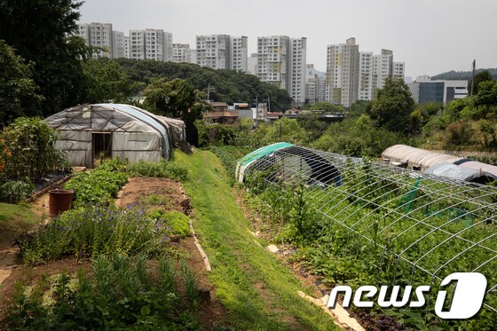 서울 서초구 내곡동 일대 개발제한구역 전경.(뉴스1 자료사진)2020.7.16/뉴스1 © News1 유승관 기자