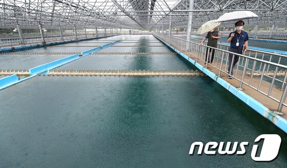 22일 '수돗물 유충' 사태가 시작된 인천 공촌정수장의 모습. 2020.7.22/뉴스1 © News1 정진욱 기자