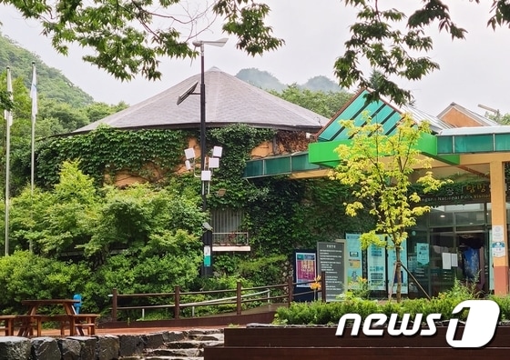 정읍시, 내장산국립공원에 가면 무료 와이파이가 ‘팡팡’ 터진다. /© 뉴스1