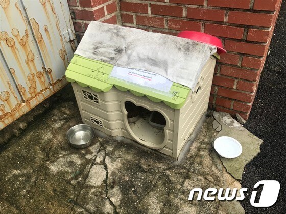 부산 남구 대연동의 한 주택가에 길고양이 급식소가 설치돼 있다.2020.07.31/뉴스1 © News1 이유진 기자