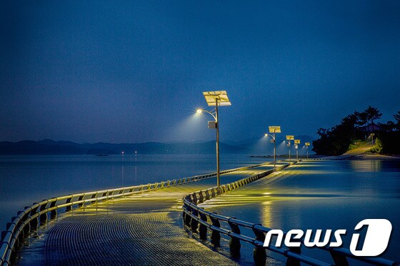 서산 웅도 유두교의 아름다운 야경© 뉴스1