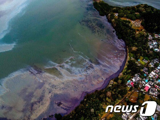  모리셔스 해변을 덮은 기름띠. © AFP=뉴스1