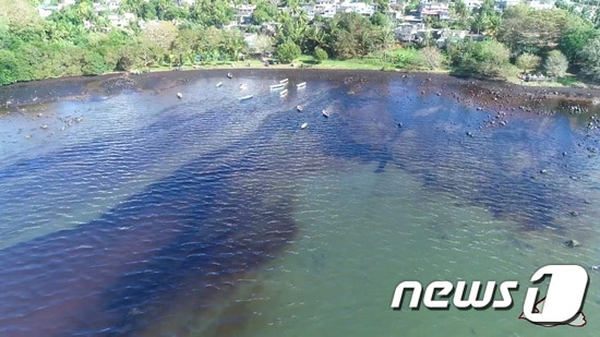 누출된 기름에 오염된 모리셔스 해안. © 로이터=뉴스1