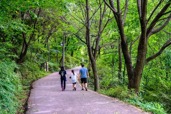 망우리공원_공원을 산책 중인 가족의 모습