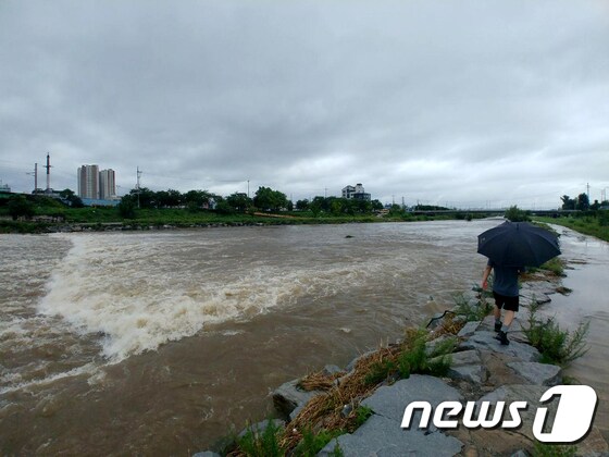 지난 2일 오전 강원 원주시 원주천이 폭우로 불어나 있다. 2020.8.2/뉴스1 © News1 박하림 기자