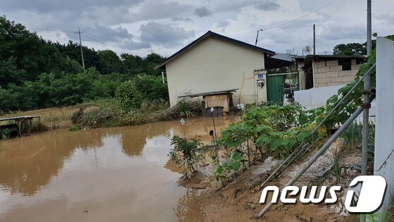 물에 잠긴 원부리 농경지와 주택.(황선동 이장 제공) /© News1