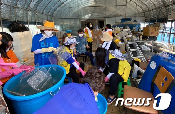 광주여대 학생과 교직원들이 광주 광산구 본량동에서 침수 피해를 입은 하우스를 정비하고 있다. (광주여대 제공)2020.8.20/뉴스1 © News1