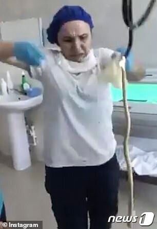 러시아 의사가 내시경 집게발을 이용해 한 여성 배안에 들어있던 뱀을 끄집어내고 있다.(인스타그램) © 뉴스1