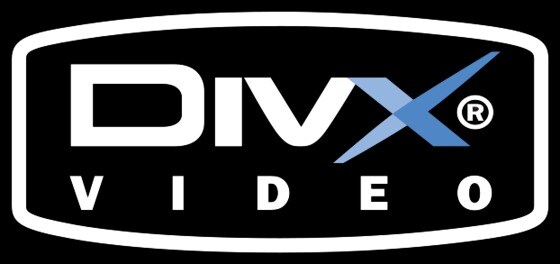 삼성전자, LG전자 등을 상대로 미국에 특허침해 소송을 제기한 미국의 비디오 코덱 전문업체 디빅스(DivX) © 뉴스1