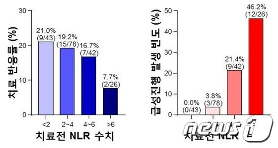 호중구,림프구의 비율(NLR 수치)에 따른 간암 치료 반응률 및 급성진행 발생 빈도© 뉴스1