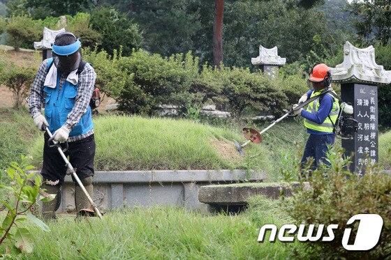 경기도 용인시 기흥구의 한 산에서 용인시산림조합 직원들이 의뢰받은 묘지의 벌초를 하고 있다./뉴스1 © News1 조태형 기자