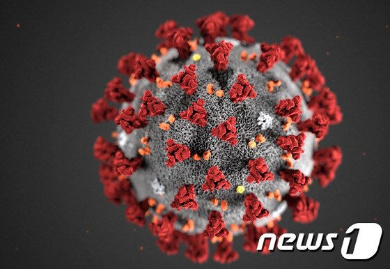 신종 코로나바이러스(코로나19). © AFP=뉴스1