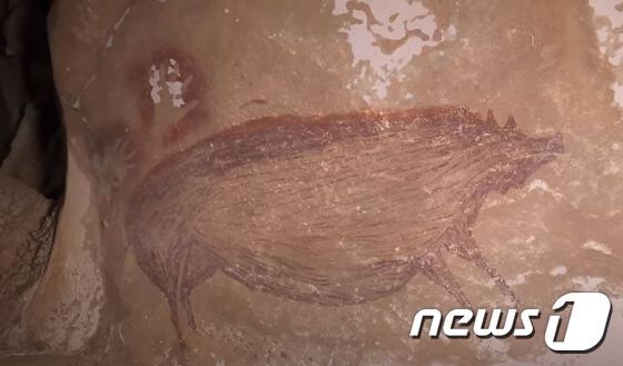 인도네시아 술라웨시섬에서 발견된 혹맷돼지 벽화(호주 그리피스대 유튜브 갈무리). © 뉴스1