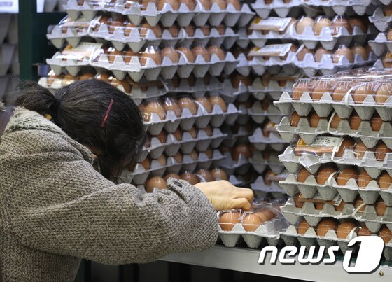 20일 서울의 한 대형마트에서 시민들이 달걀을 고르고 있다. 2021.1.20/뉴스1 © News1 신웅수 기자