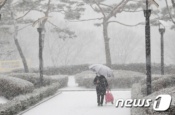지난해 1월 서울 양천구 목동 인근에 함박눈이 펑펑 쏟아지고 있다. 2021.1.28/뉴스1 © News1 권현진 기자
