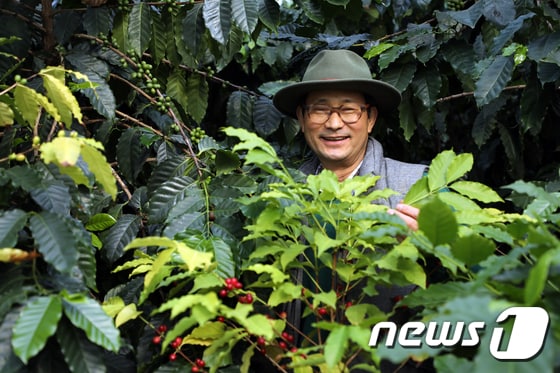커피나무에 둘러싸인 담양커피농장 임영주 대표. /© News1 박영래 기자