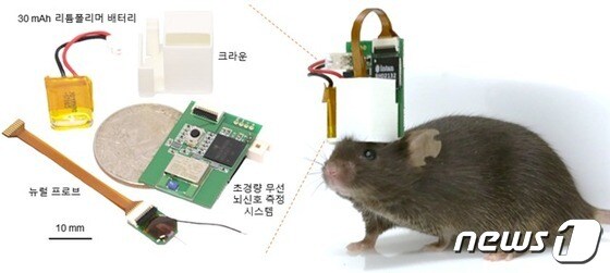 초경량 무선 뇌 신호 측정 시스템을 포함한 무선 뇌 신호 측정을 위해 필요한 구성요소(왼쪽)과 전체 시스템이 장착된 생쥐 모습. (IBS 제공) ©뉴스1